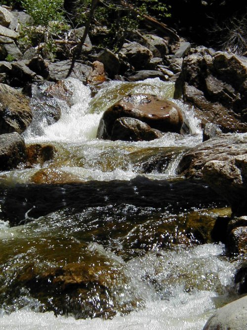 PIC00020