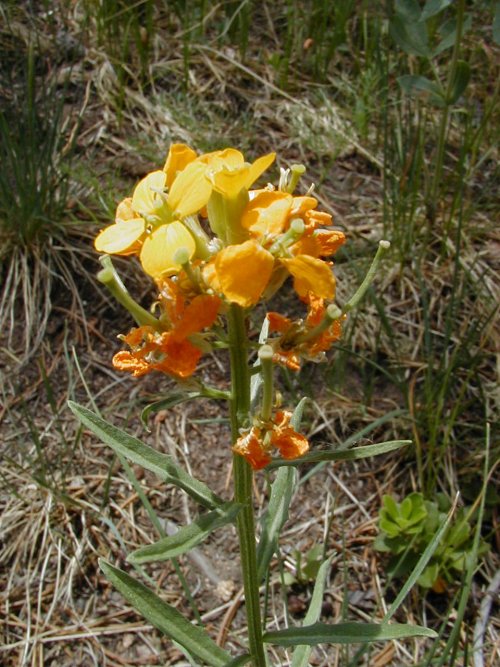 P7040005