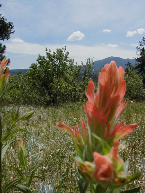 P7040010