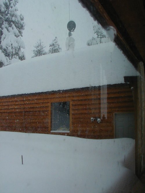 P3190016