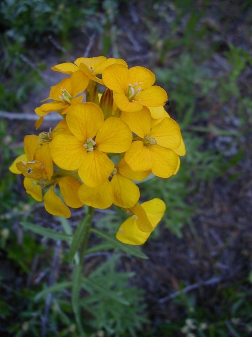 P6250012