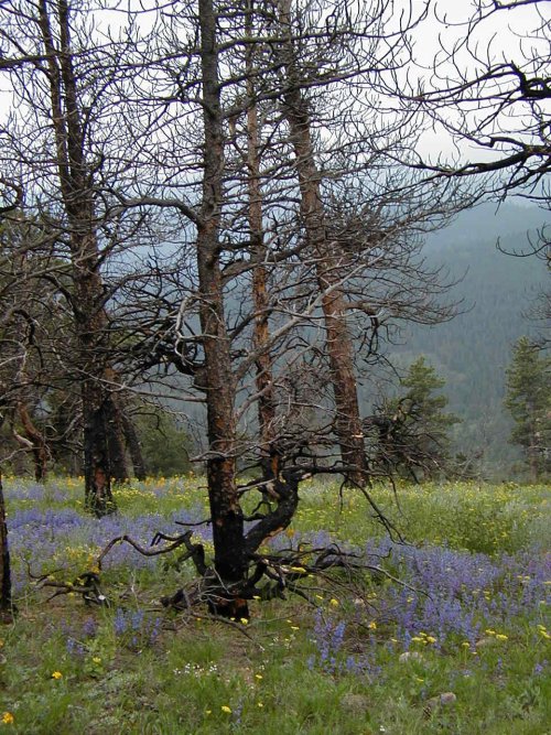 P6250033