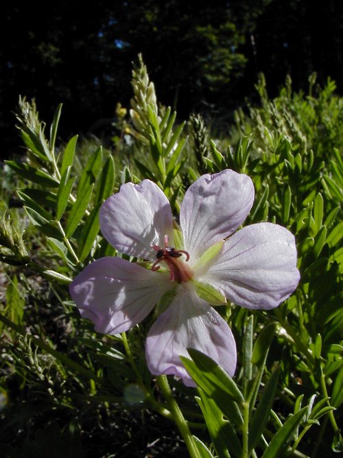P6280016