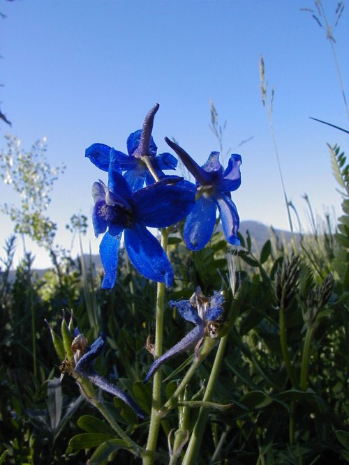 P6280028