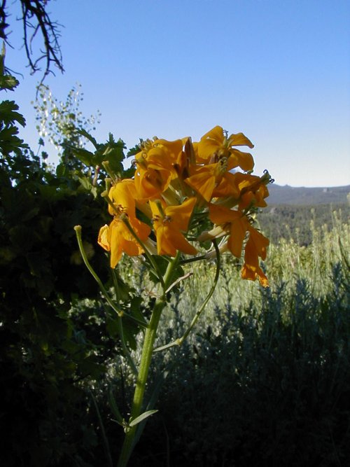 P6280029