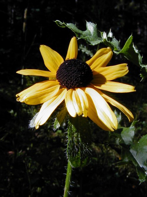 P9010029