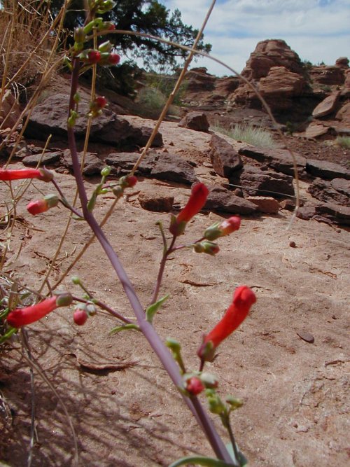 P4140011