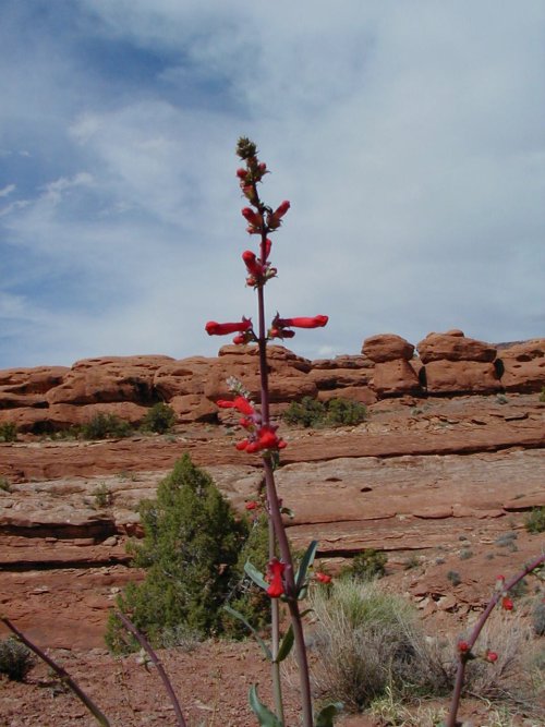 P4140031