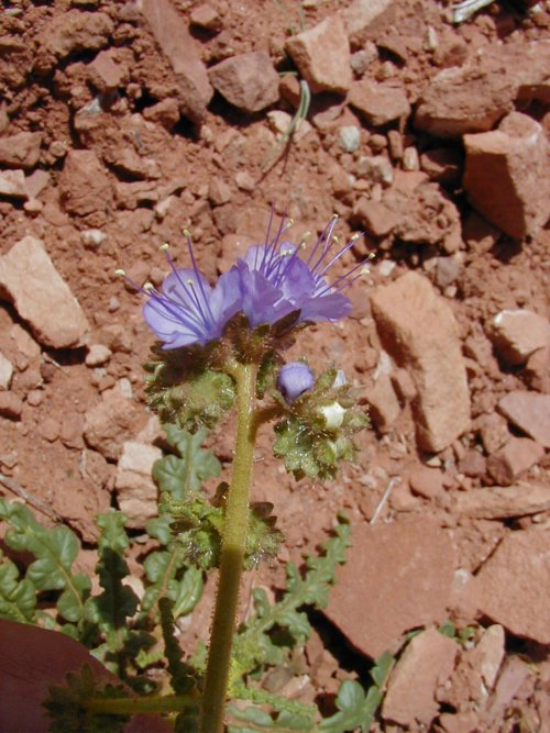 P4140032