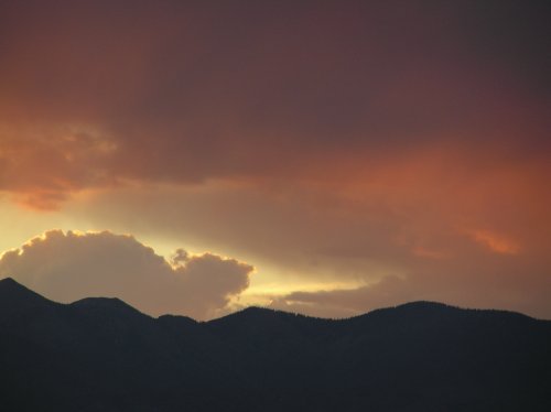 OLYMPUS DIGITAL CAMERA