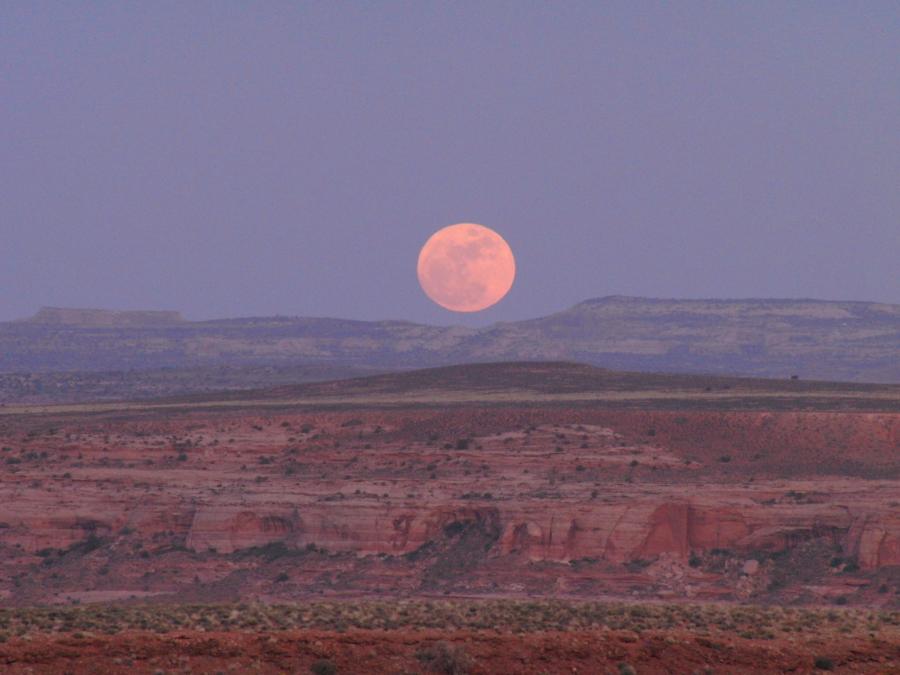 San Rafael Desert Spring 2009