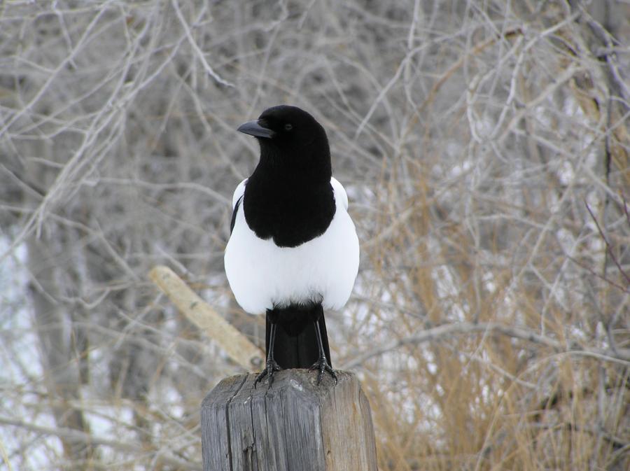 The Best of the Oughts