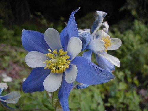 OLYMPUS DIGITAL CAMERA