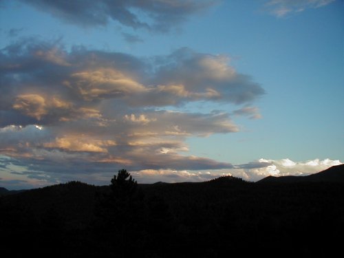 OLYMPUS DIGITAL CAMERA