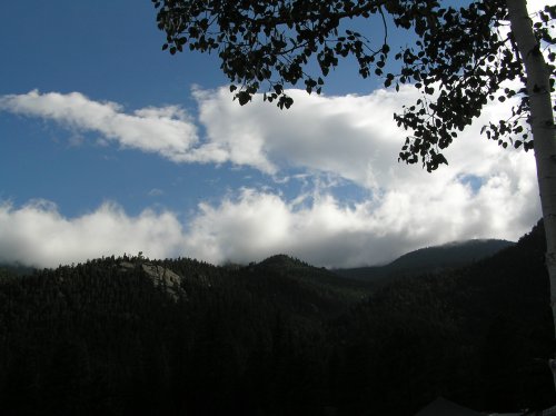 OLYMPUS DIGITAL CAMERA