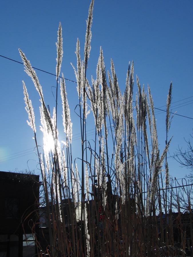 The Last of the Oughts