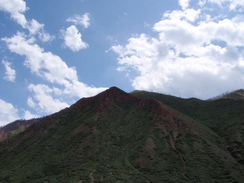 OLYMPUS DIGITAL CAMERA