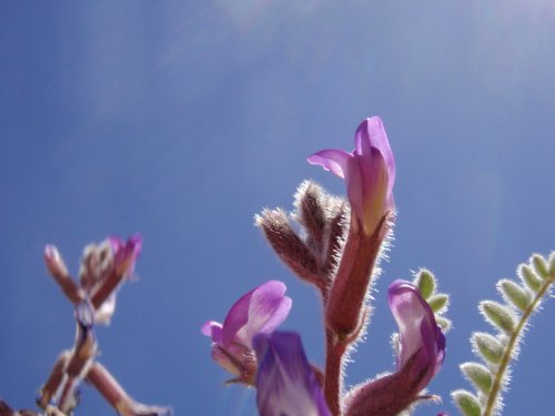 P4260093
