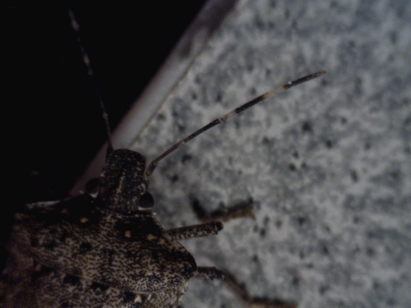 20110203_000459173