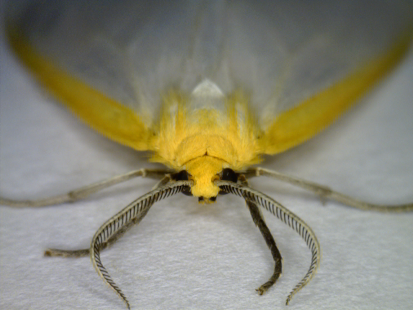 20110507_091827263