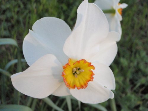 OLYMPUS DIGITAL CAMERA