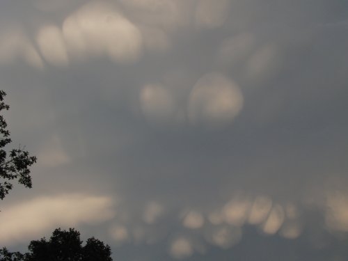 Mammatocumulus