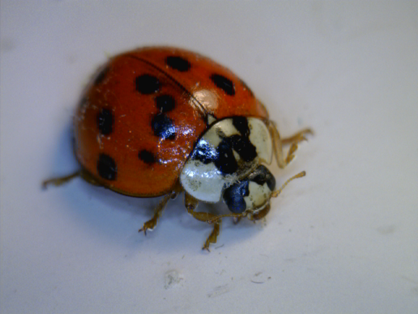 20110611_230902709